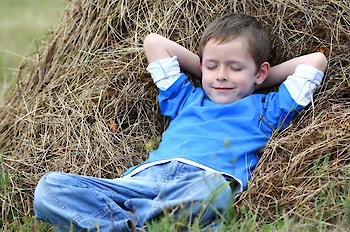 Erlebnisbauernhof am Nationalpark Bayerischer Wald